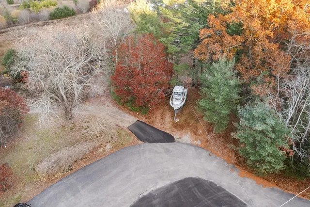 a view of a dry yard with trees and stairs