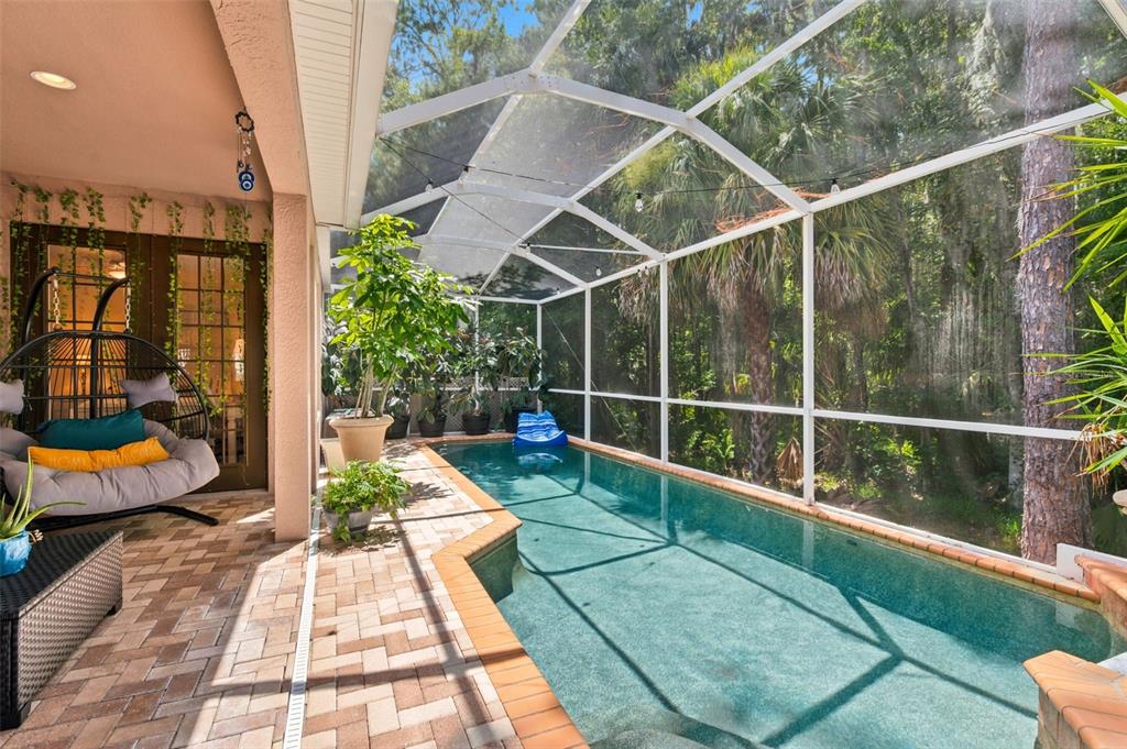 3449 Loggerhead Way Wesley Chapel, FL 33544 - Photo 39 of 52