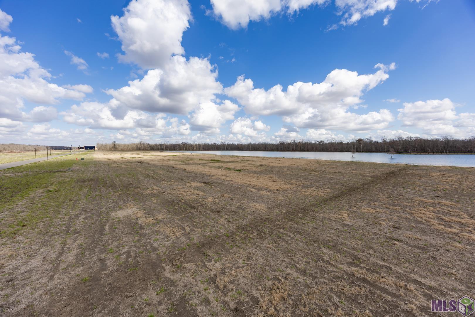 6049 Mill Town Road Brusly, LA 70719 - Photo 5 of 12