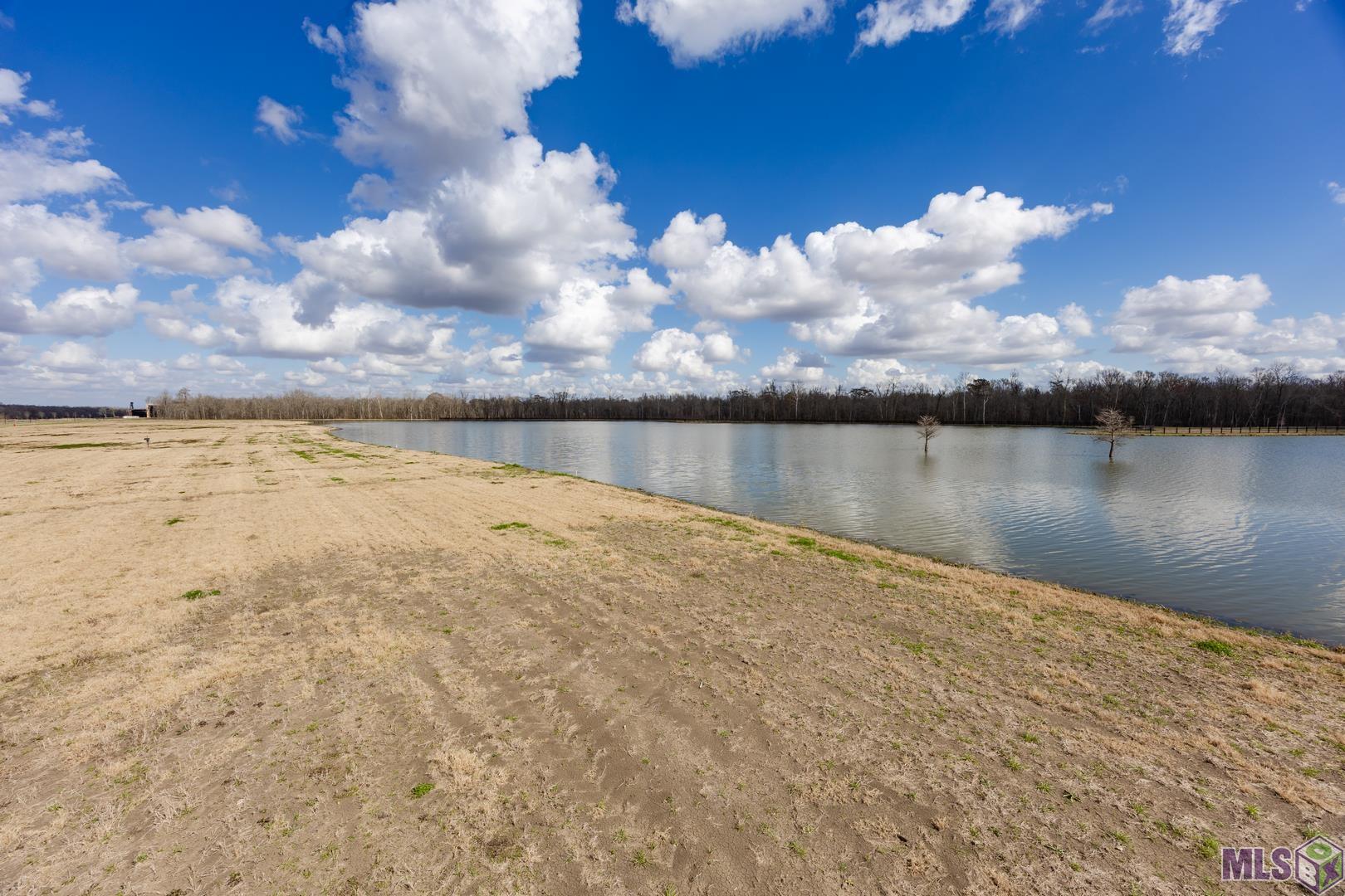 6049 Mill Town Road Brusly, LA 70719 - Photo 6 of 12