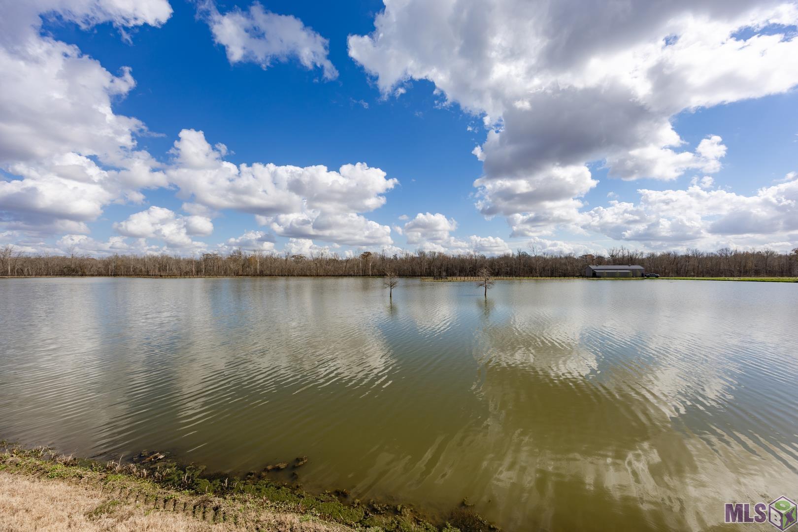 6049 Mill Town Road Brusly, LA 70719 - Photo 9 of 12