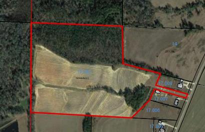 0 Avon Road Ashford, AL 36312 - Photo 1 of 4