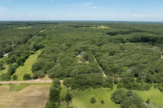 a view of a forest from a yard