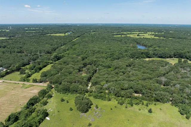 a view of a city with lush green forest