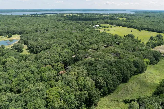 a view of a lush green forest with houses and lake view