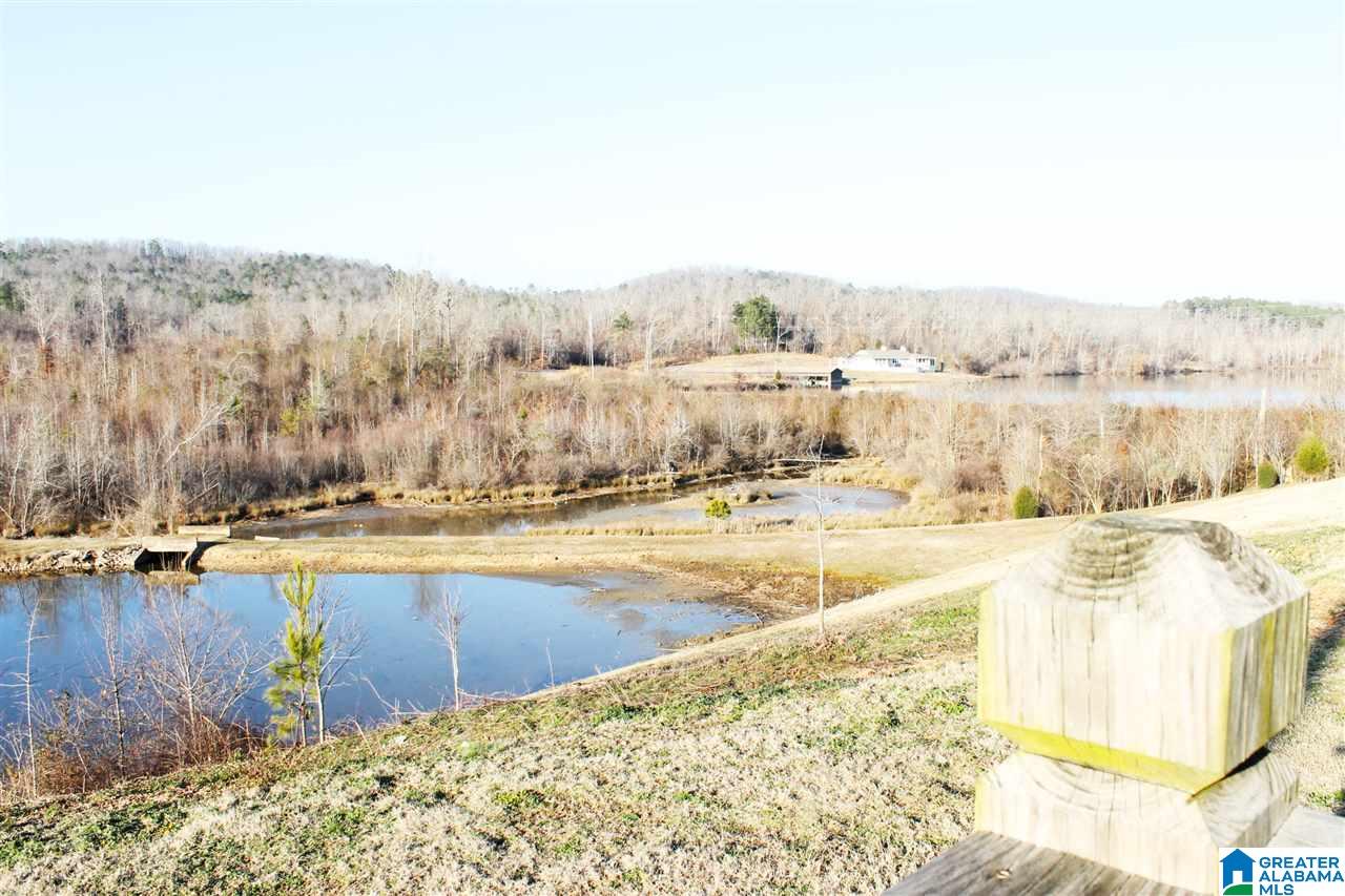 131 Eagle Cove Road Ohatchee, AL 36271 - Photo 4 of 14