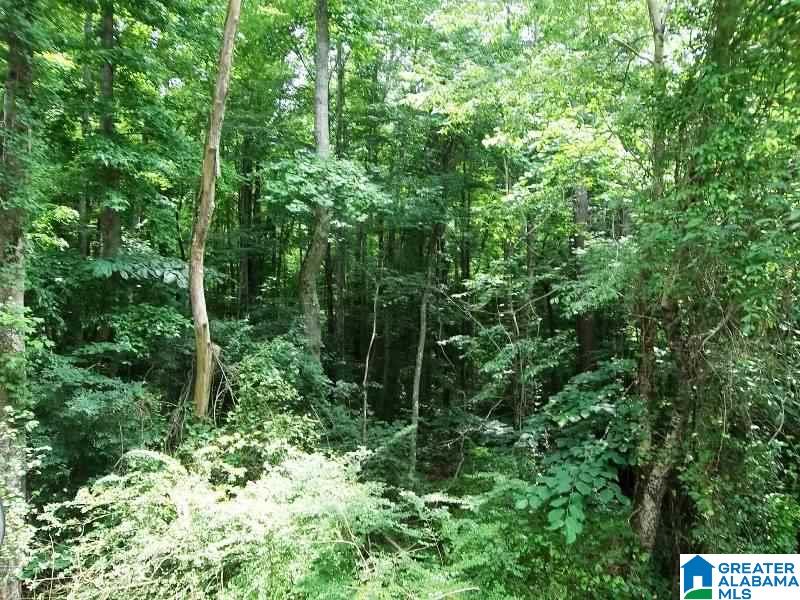 4379 Idaho Road Talladega, AL 35160 - Photo 26 of 26