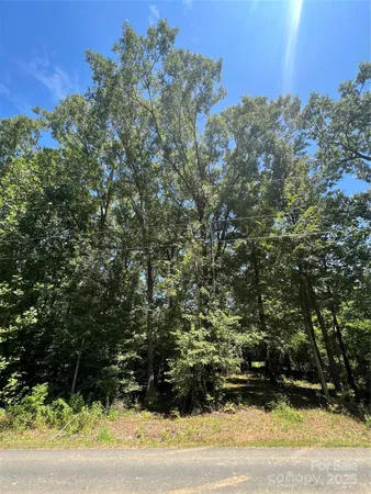 a view of a yard
