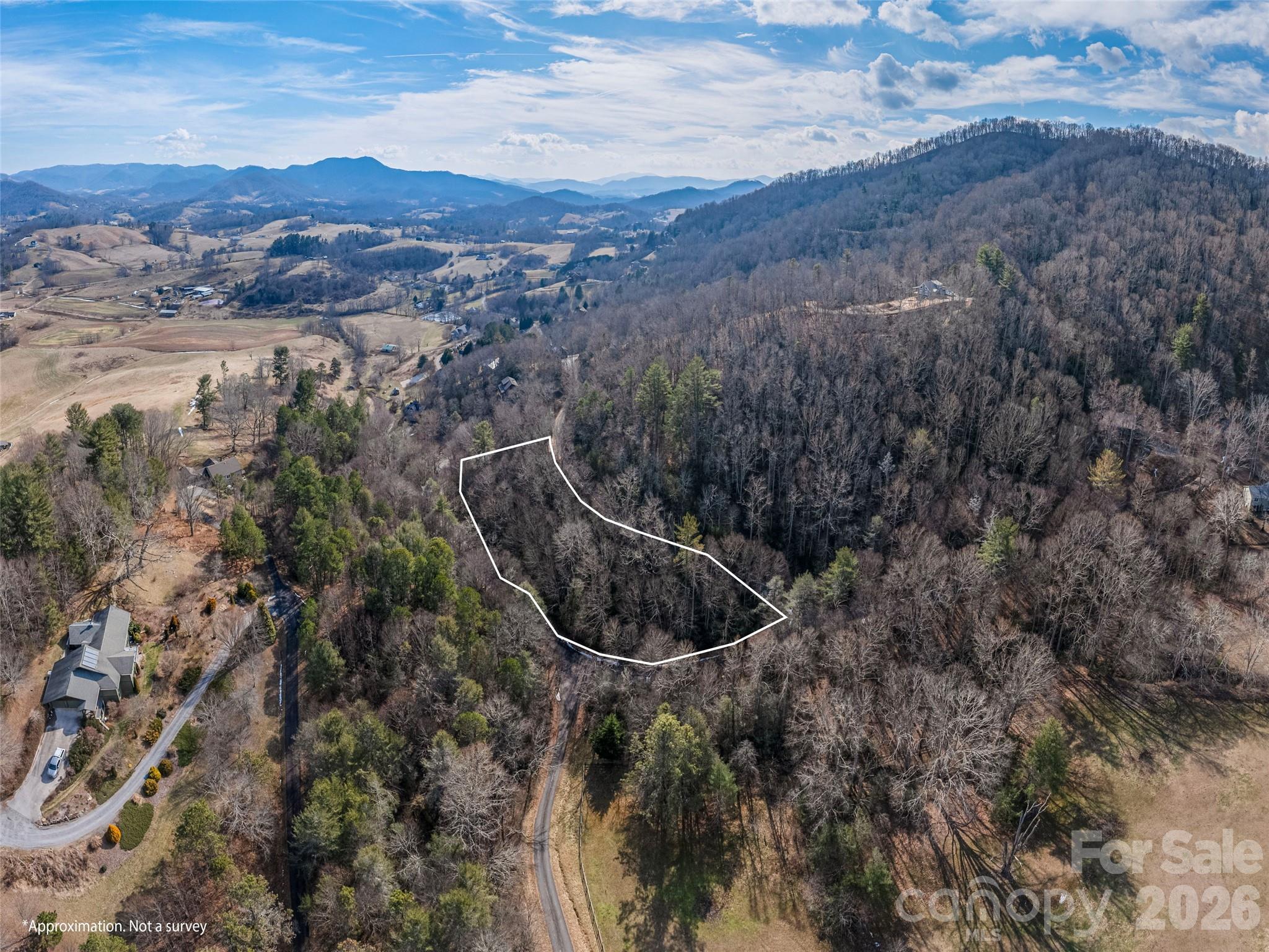0 Coyote Hollow Road Waynesville, NC 28785 - Photo 7 of 12