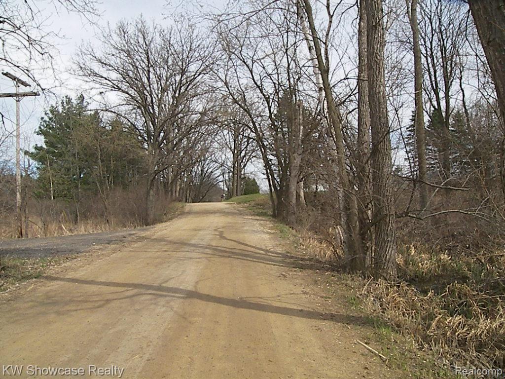Vacant Shifman Road Goodrich, MI 48438 - Photo 7 of 9
