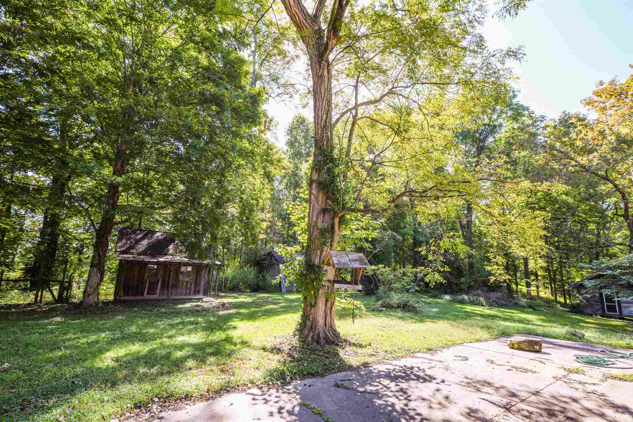 1527 Jackson Branch Ridge Road Nashville, IN 47448 - Photo 8 of 36 Gallery Image 8