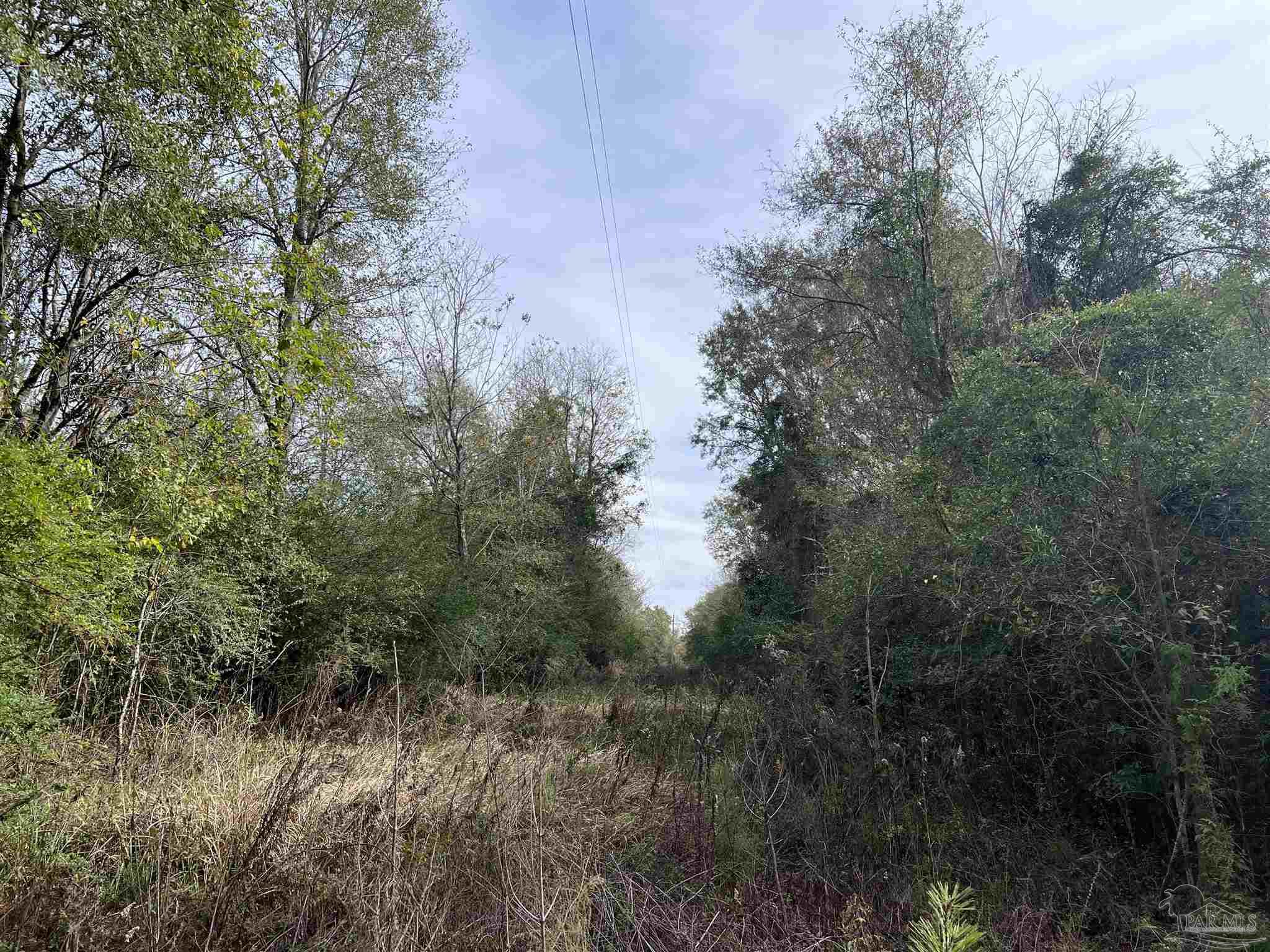 0 Atmosphere Road Atmore, AL 36502 - Photo 11 of 24