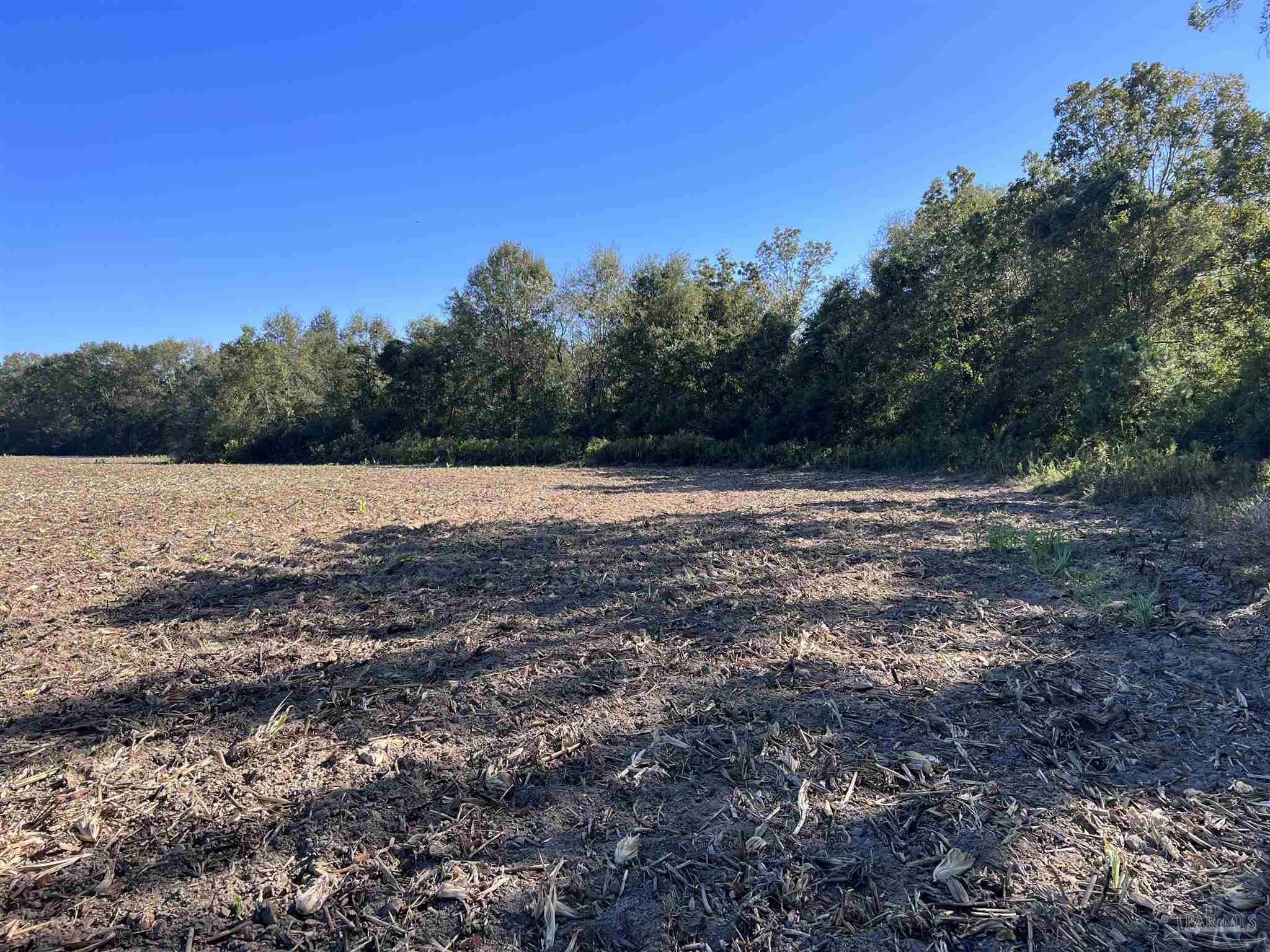 0 Atmosphere Road Atmore, AL 36502 - Photo 19 of 24