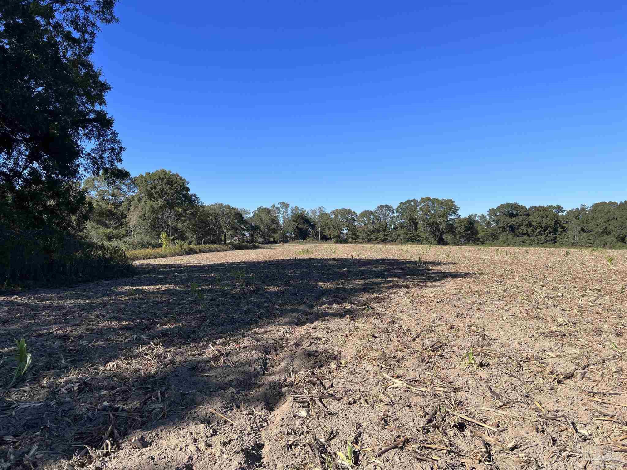 0 Atmosphere Road Atmore, AL 36502 - Photo 20 of 24