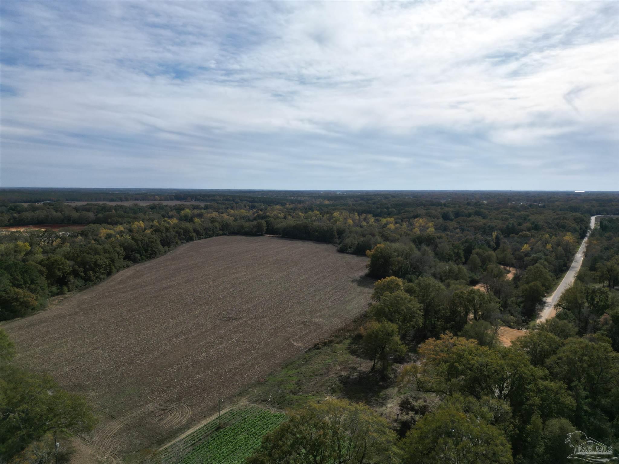 0 Atmosphere Road Atmore, AL 36502 - Photo 3 of 24