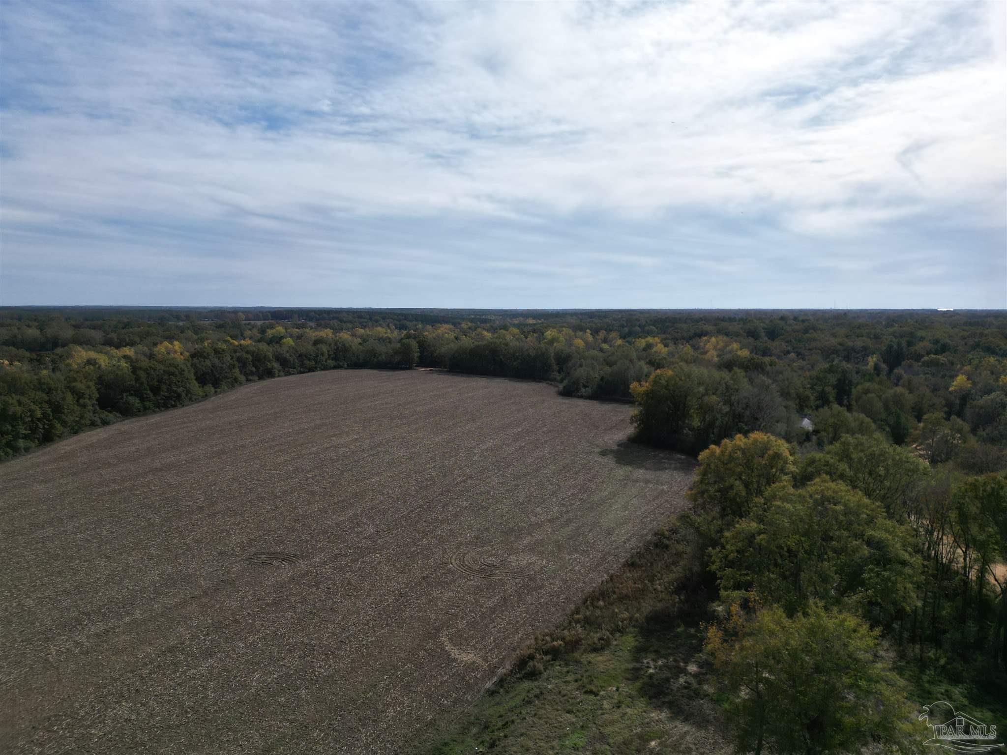 0 Atmosphere Road Atmore, AL 36502 - Photo 4 of 24