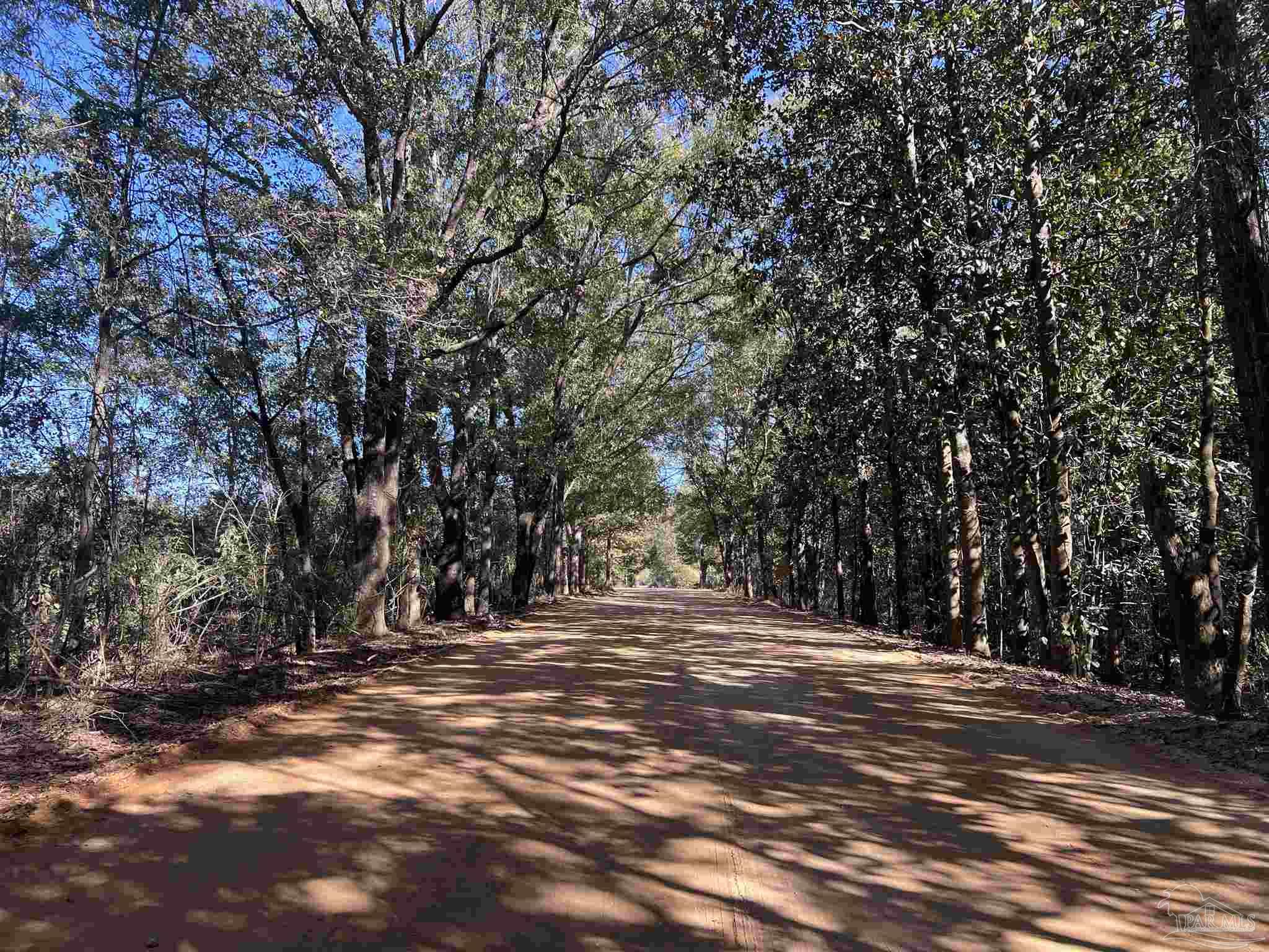 0 Atmosphere Road Atmore, AL 36502 - Photo 7 of 24