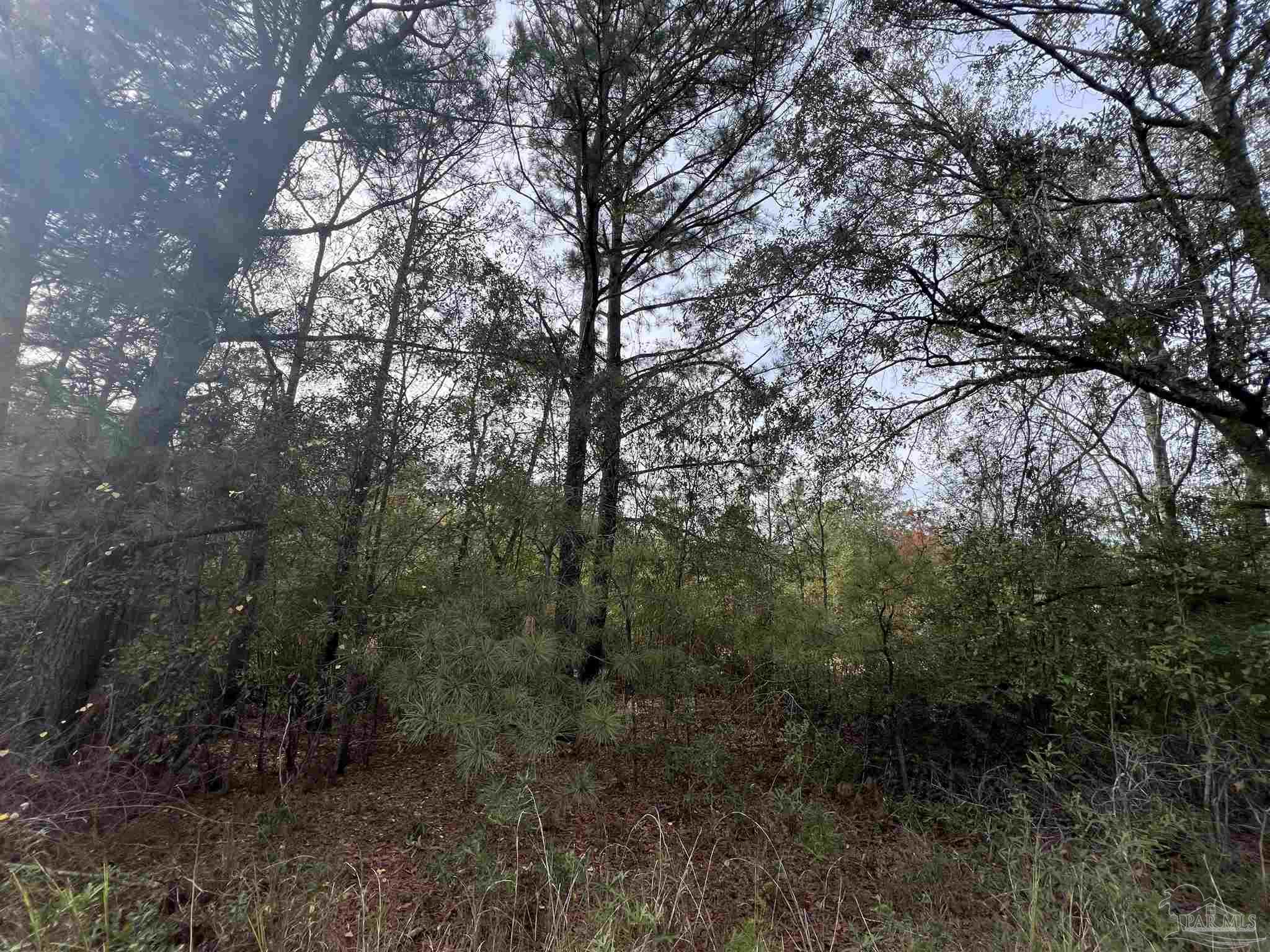 0 Atmosphere Road Atmore, AL 36502 - Photo 8 of 24