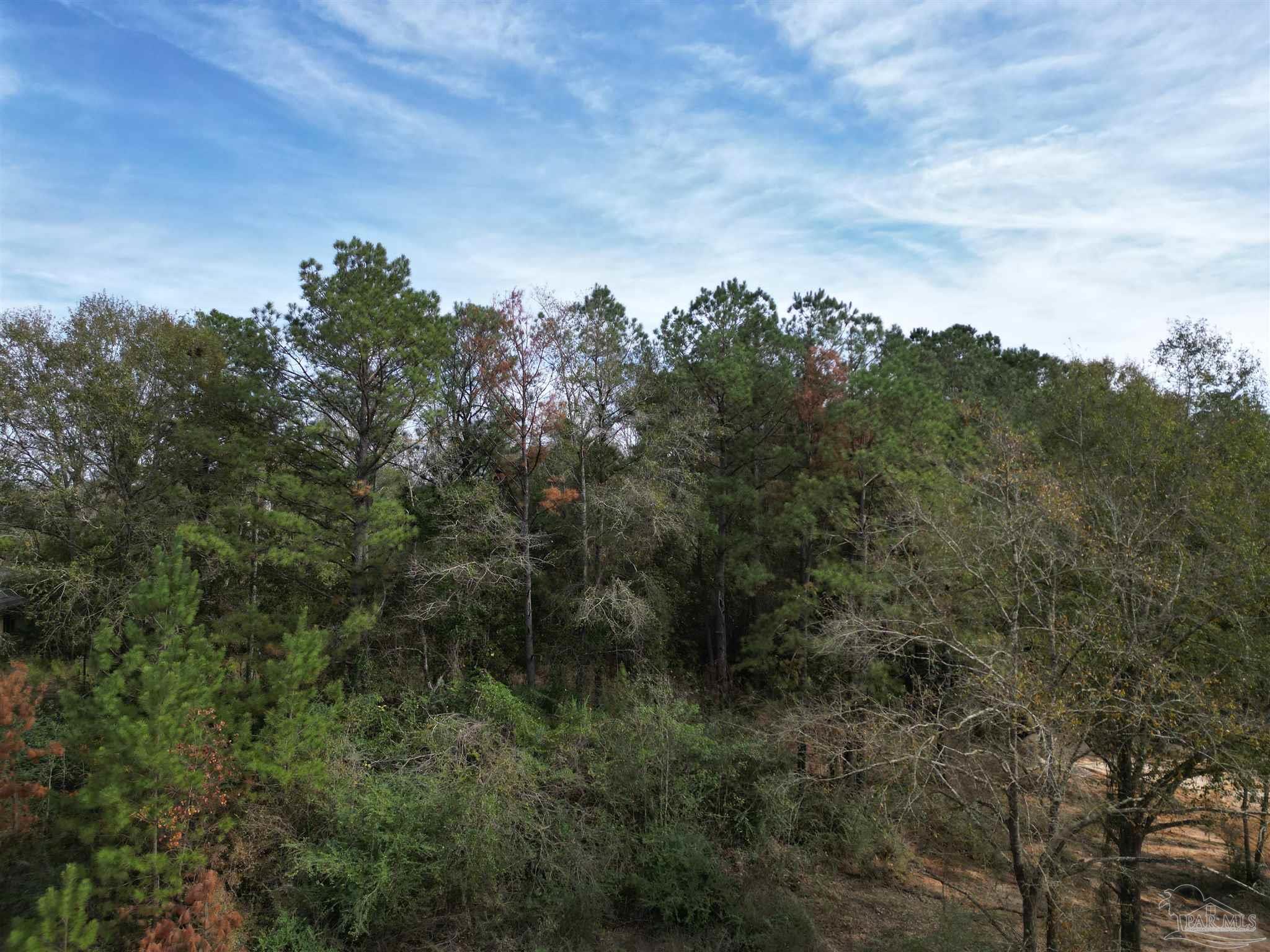 0 Atmosphere Road Atmore, AL 36502 - Photo 9 of 24