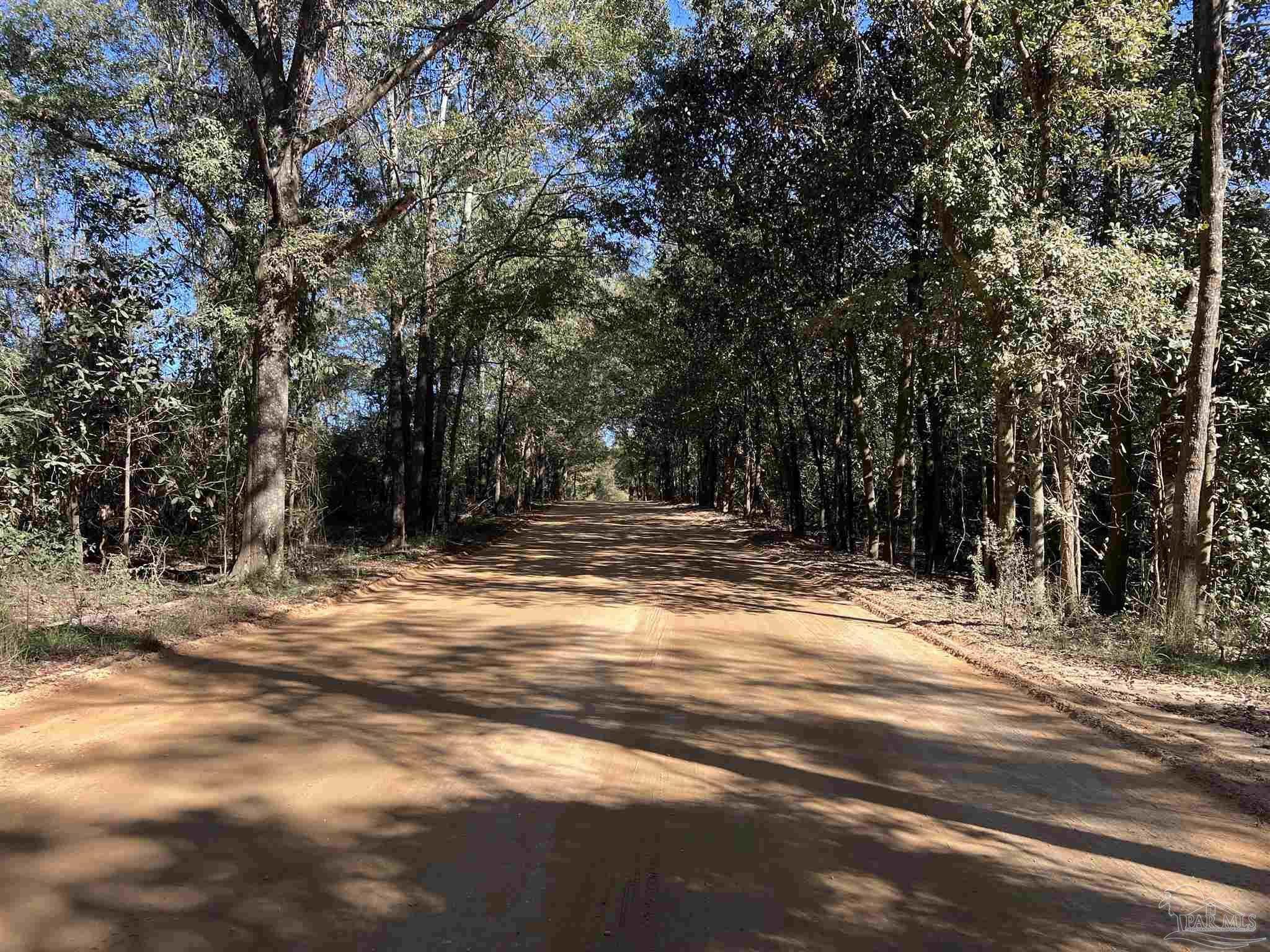 0 Atmosphere Road Atmore, AL 36502 - Photo 10 of 24