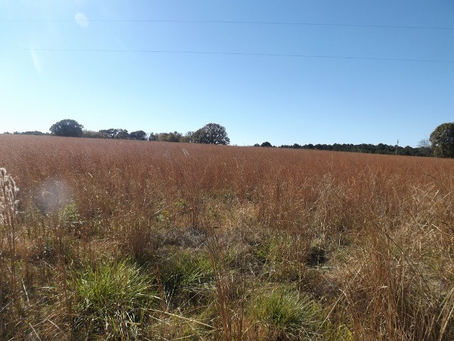 0 Sharon Road, Unit 5 Canton, MS 39046 - Photo 1 of 3 Photo 1