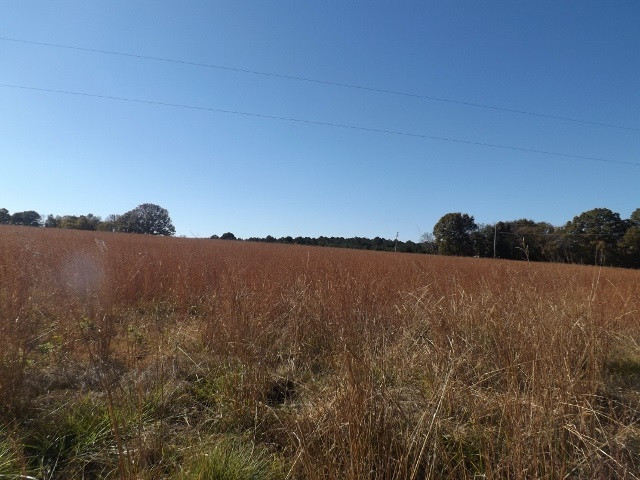 0 Sharon Road, Unit 5 Canton, MS 39046 - Photo 2 of 3 Photo 2