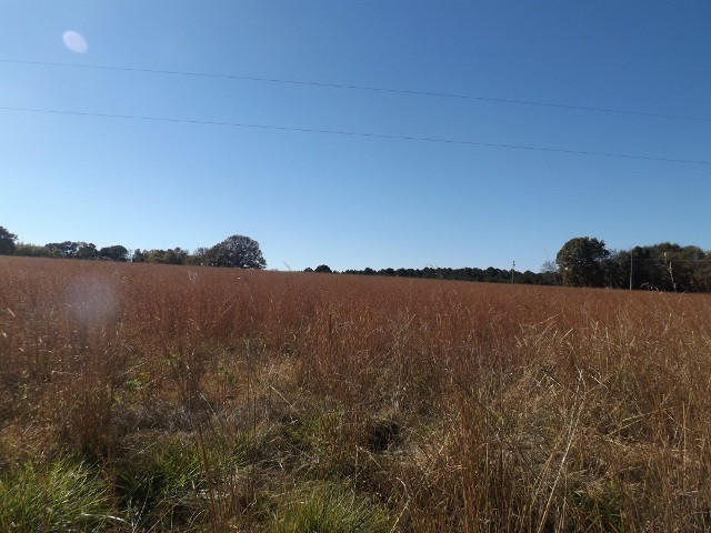 0 Sharon Road, Unit 5 Canton, MS 39046 - Photo 3 of 3 Photo 3