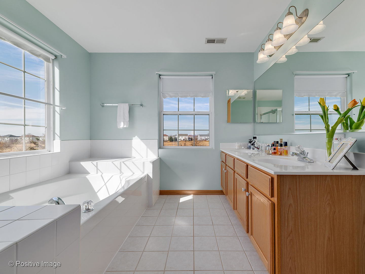 1608 Prairieview Boulevard Bolingbrook, IL 60490 - Photo 19 of 30