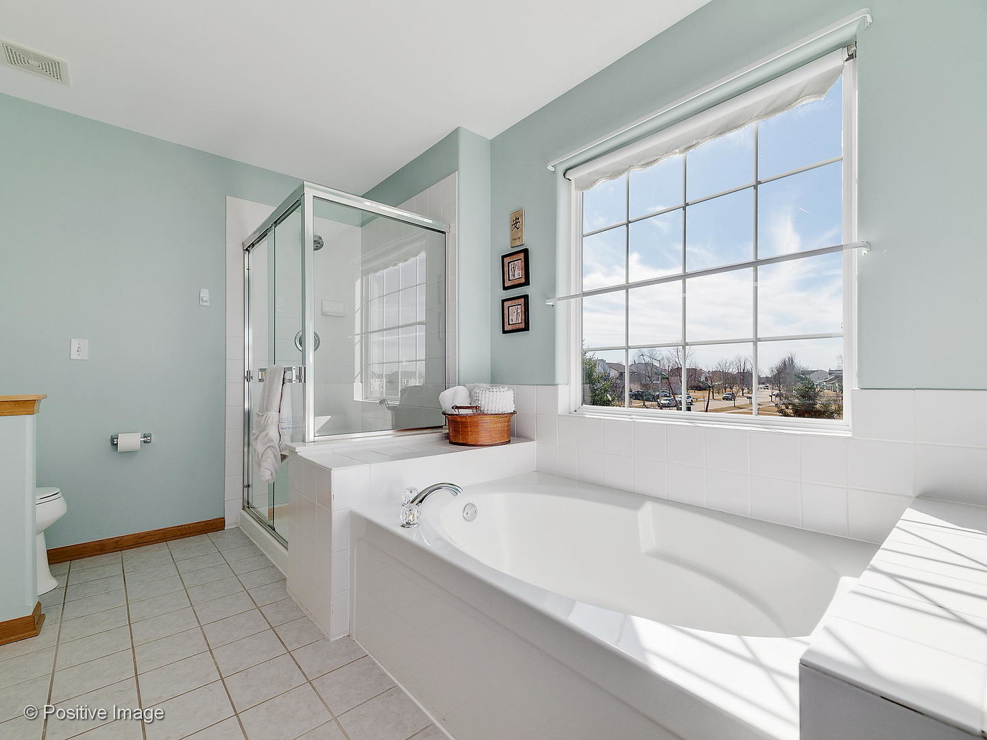 1608 Prairieview Boulevard Bolingbrook, IL 60490 - Photo 20 of 30