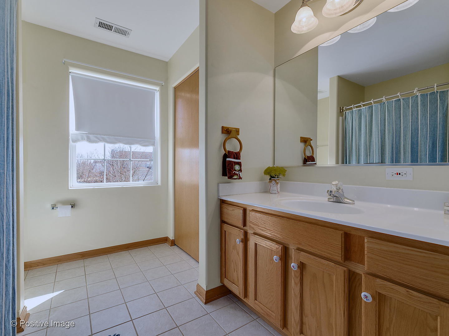 1608 Prairieview Boulevard Bolingbrook, IL 60490 - Photo 23 of 30