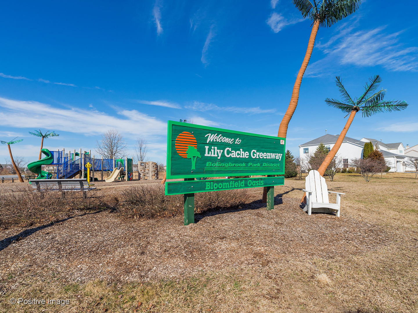 1608 Prairieview Boulevard Bolingbrook, IL 60490 - Photo 29 of 30