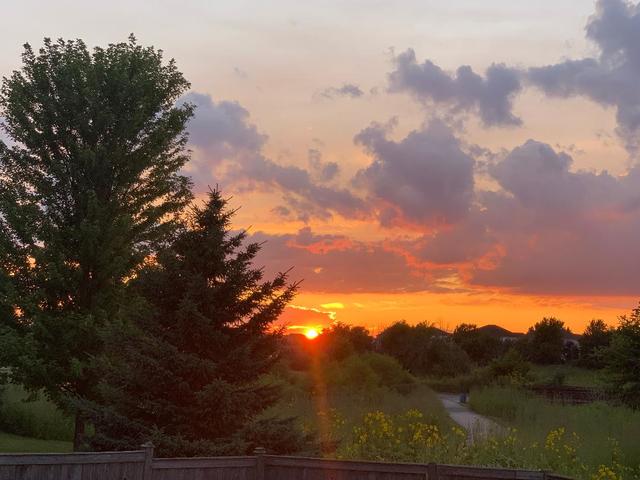 1608 Prairieview Boulevard Bolingbrook, IL 60490 - Photo 30 of 30