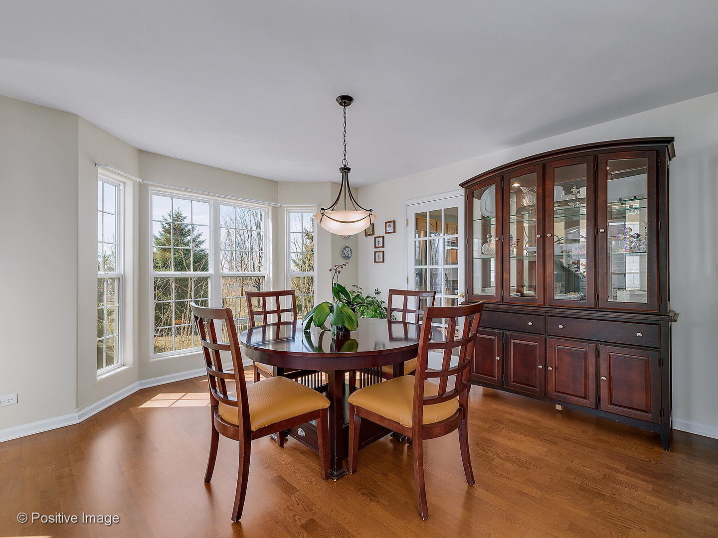 1608 Prairieview Boulevard Bolingbrook, IL 60490 - Photo 5 of 30