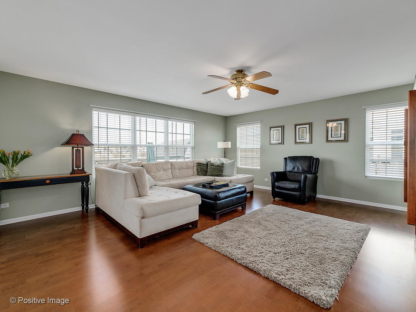 1608 Prairieview Boulevard Bolingbrook, IL 60490 - Photo 8 of 30