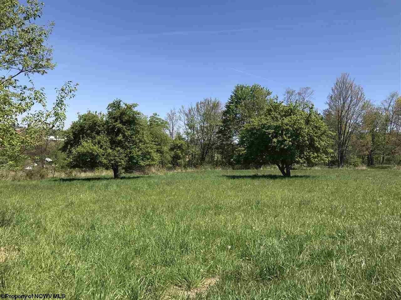 64 Windy Ridge Lane Albright, WV 26519 - Photo 15 of 20 Gallery Image 15