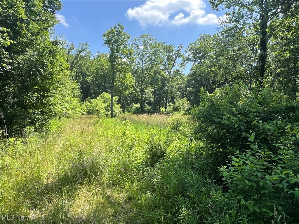 21251 Pitts Road Wellington, OH 44090 - Photo 11 of 14 View of woods