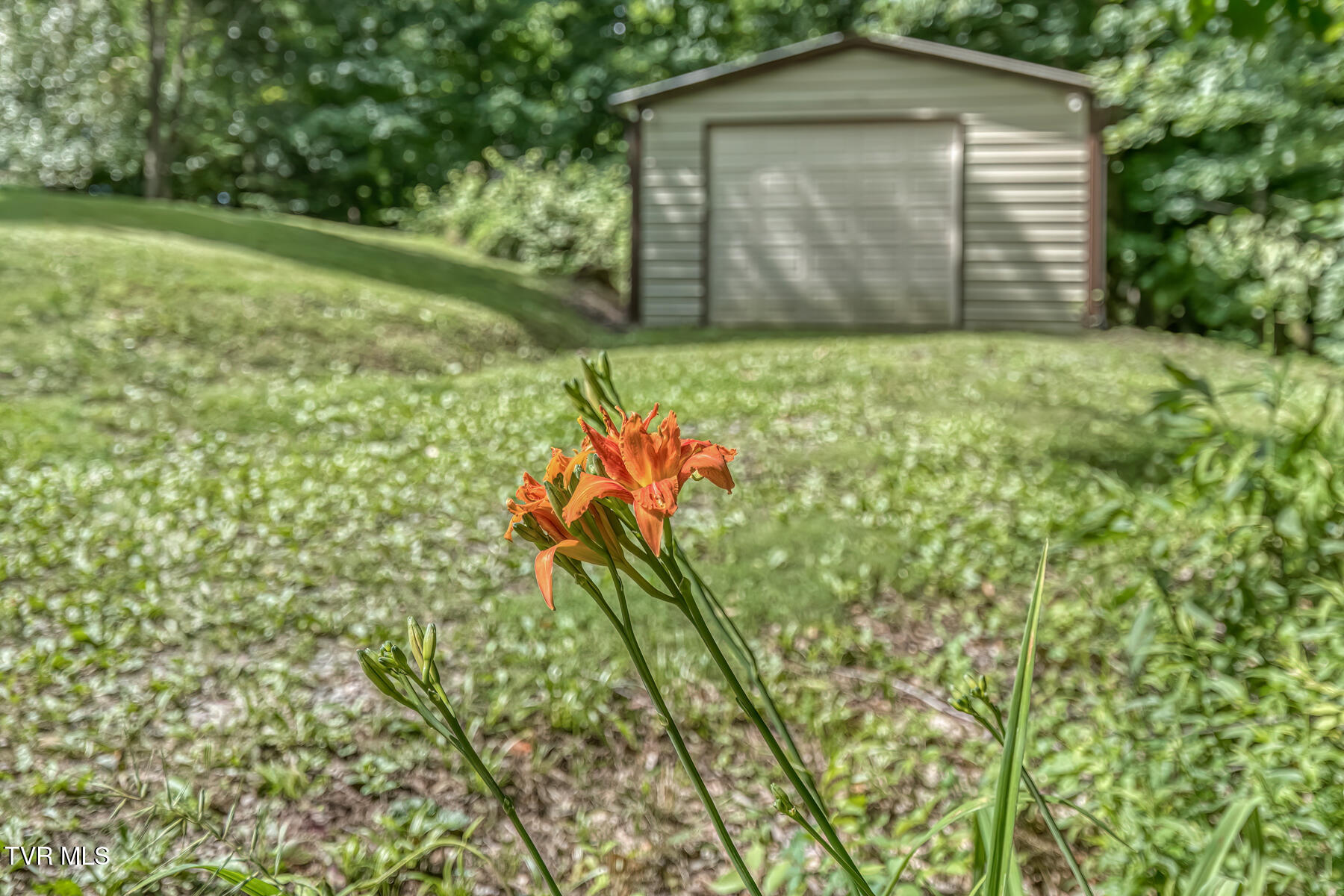 210 Telford Road Telford, TN 37690 - Photo 72 of 105 210 Telford Rd-70