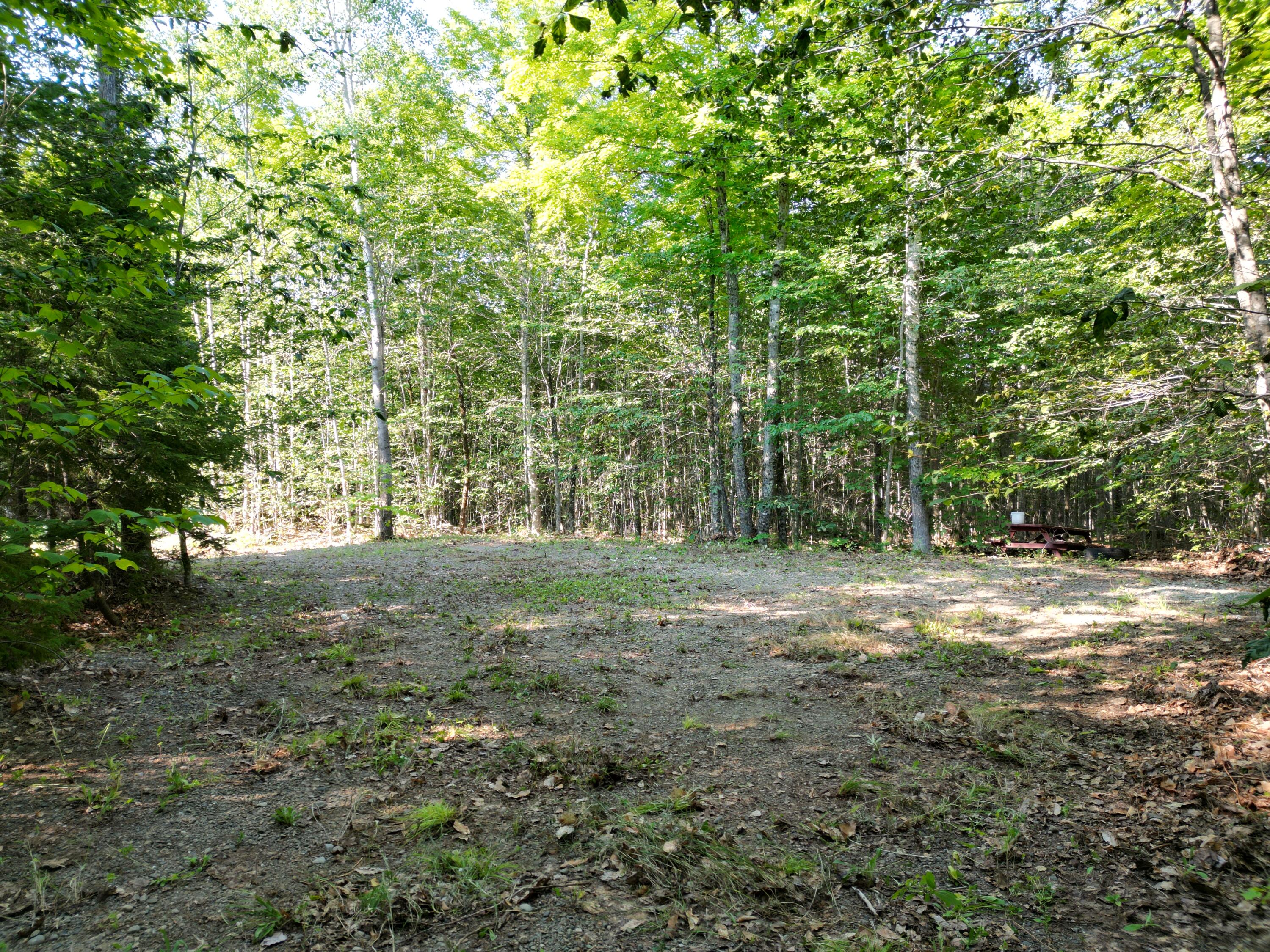 29 Spaulding Lane Lee, ME 04455 - Photo 6 of 14 DJI_0970