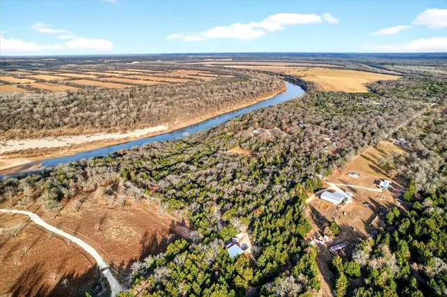 a view of a backyard with plants