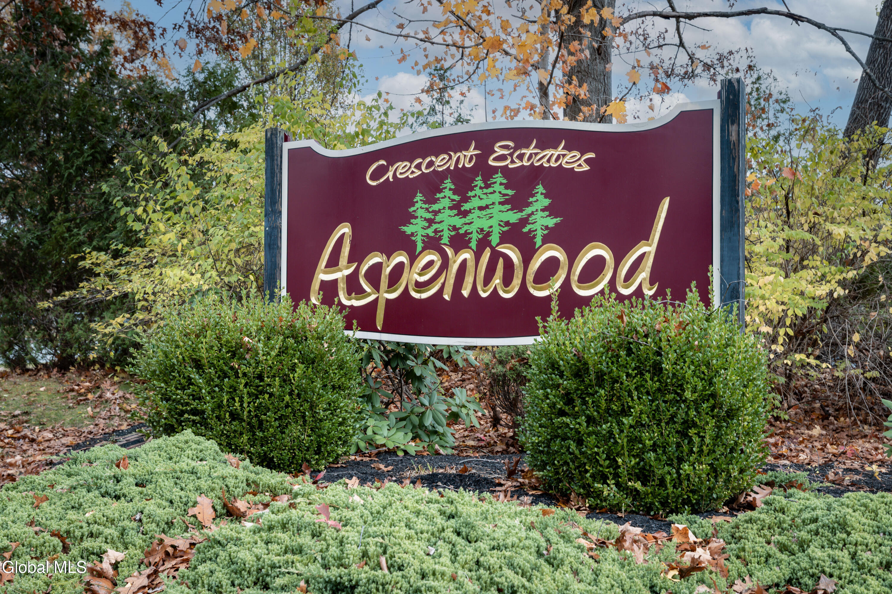 67 Pico Road Clifton Park, NY 12065 - Photo 6 of 64 Development