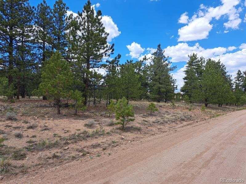 289 Haystack Road Hartsel, CO 80449 - Photo 3 of 14 Gallery Image 3