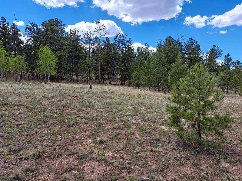 289 Haystack Road Hartsel, CO 80449 - Photo 5 of 14 Gallery Image 5