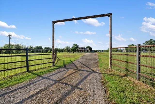 a view of a park with large trees