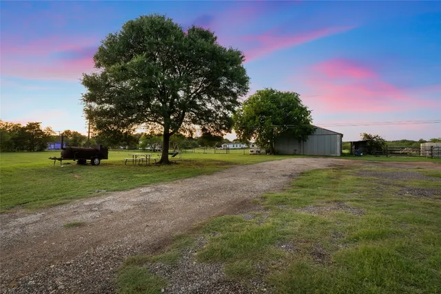 a view of a park with large trees