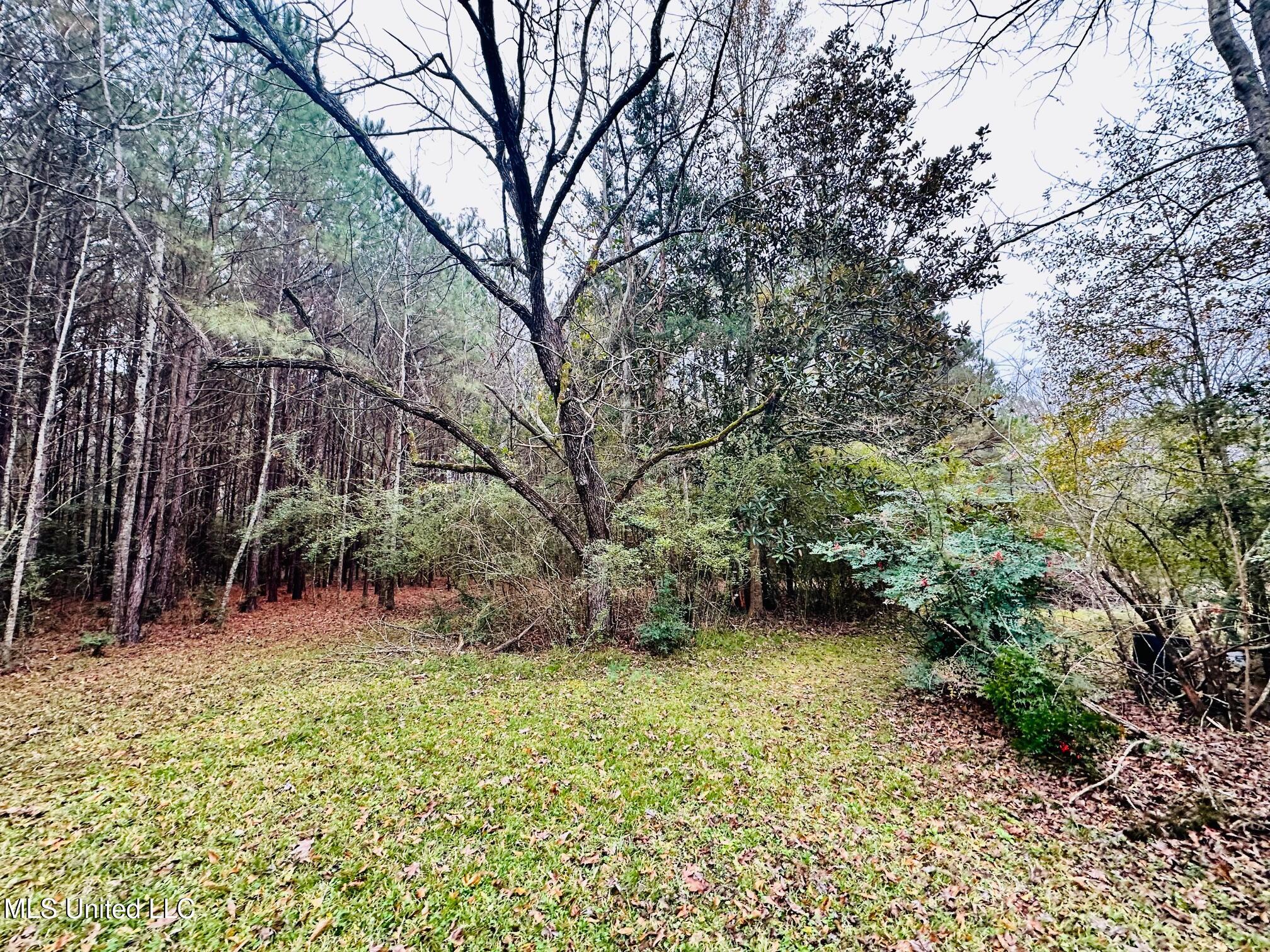 399 James Boyakin Barnett Road Magee, MS 39111 - Photo 19 of 48 IMG_6086