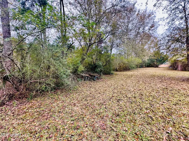 $274,500 | 399 James Boyakin Barnett Road, Magee, MS 39111