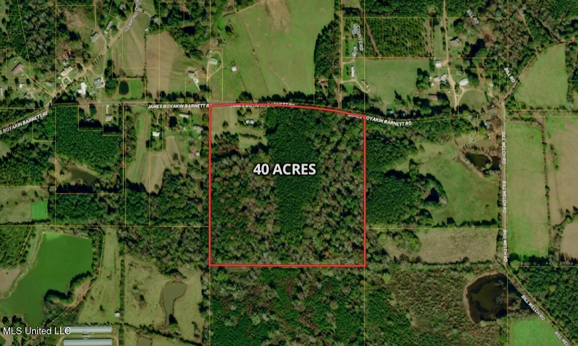 399 James Boyakin Barnett Road Magee, MS 39111 - Photo 2 of 48 IMG_6220