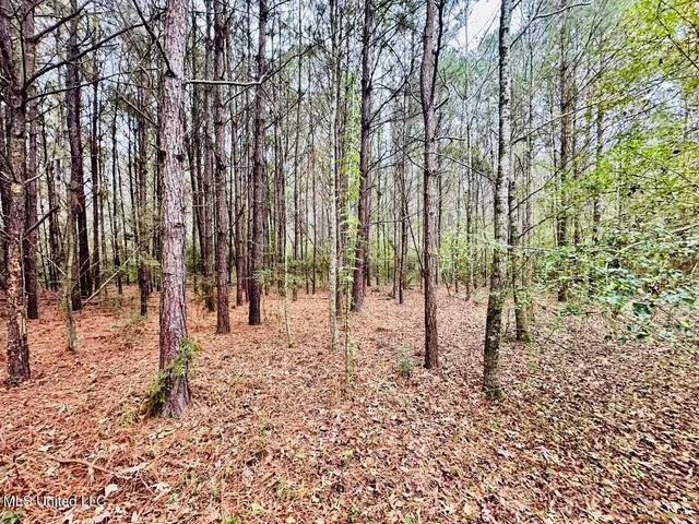 $274,500 | 399 James Boyakin Barnett Road, Magee, MS 39111