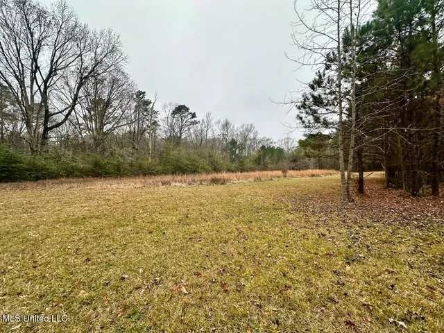 $274,500 | 399 James Boyakin Barnett Road, Magee, MS 39111