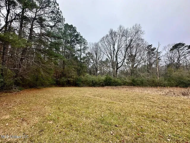 $274,500 | 399 James Boyakin Barnett Road, Magee, MS 39111